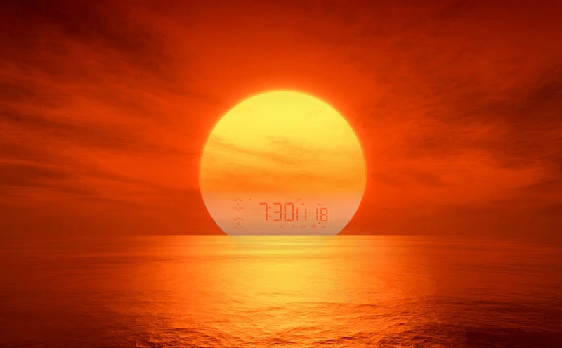 Wake-Up Light Alarm Clock with Sunrise/Sunset Simulation, Dual Alarms, FM Radio & Natural Sounds