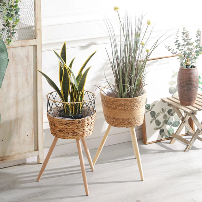 Floor‑standing Rattan Plant Stand with Wooden Legs — Indoor Pothos Holder