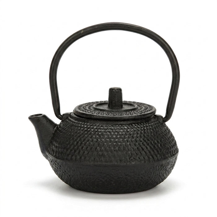 Cast Iron Teapot with Stainless Steel Mesh Filter — Induction Ready